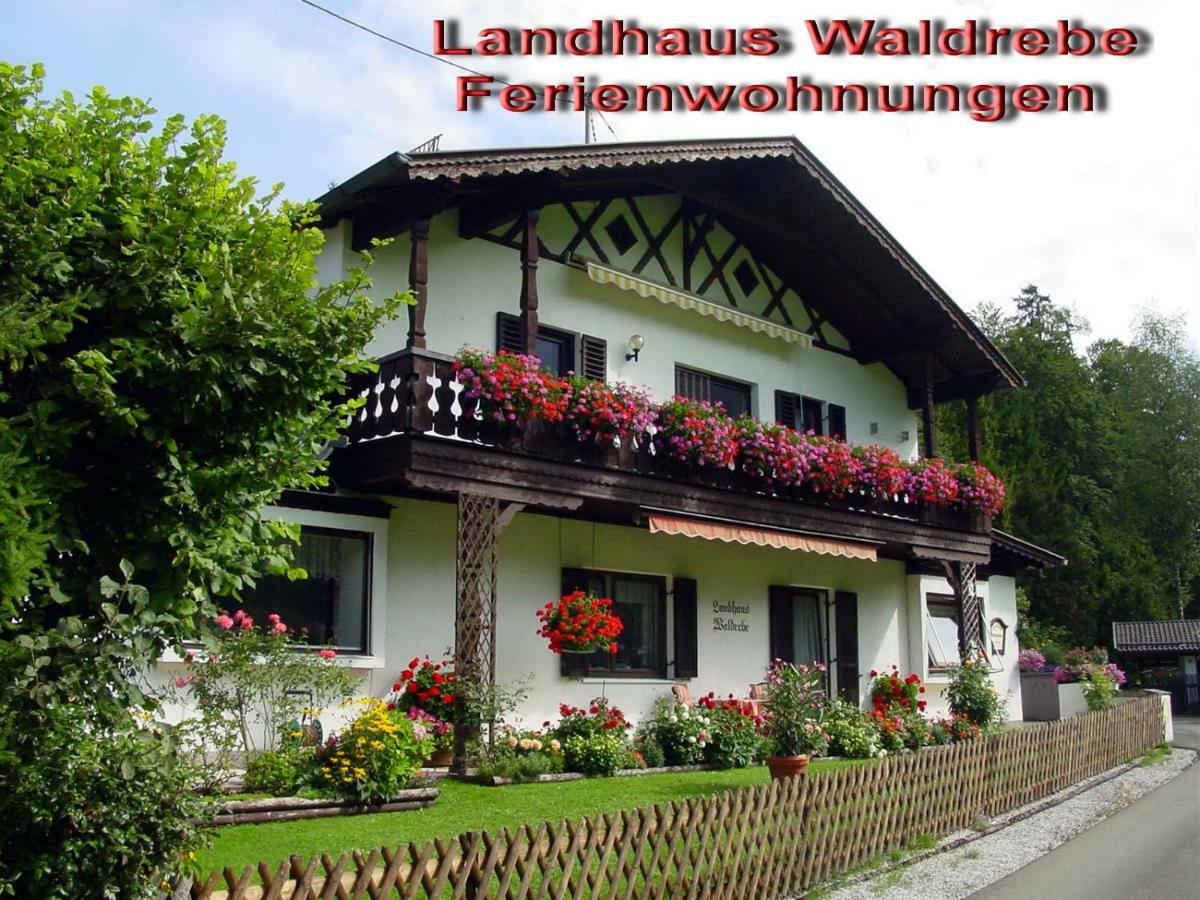 Waldrebe Apartment